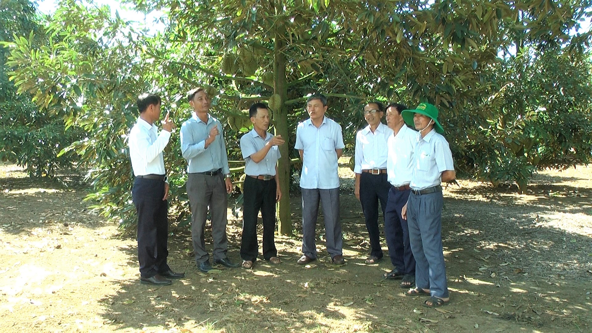 HANHBUI DRT5053.01_02_15_24.Still122